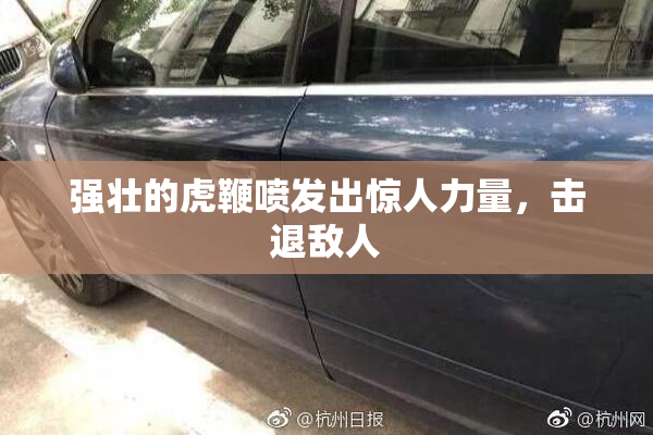 强壮的虎鞭喷发出惊人力量，击退敌人