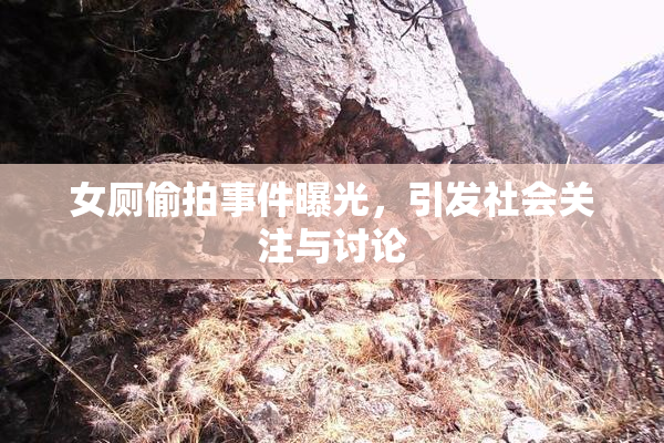 女厕偷拍事件曝光，引发社会关注与讨论
