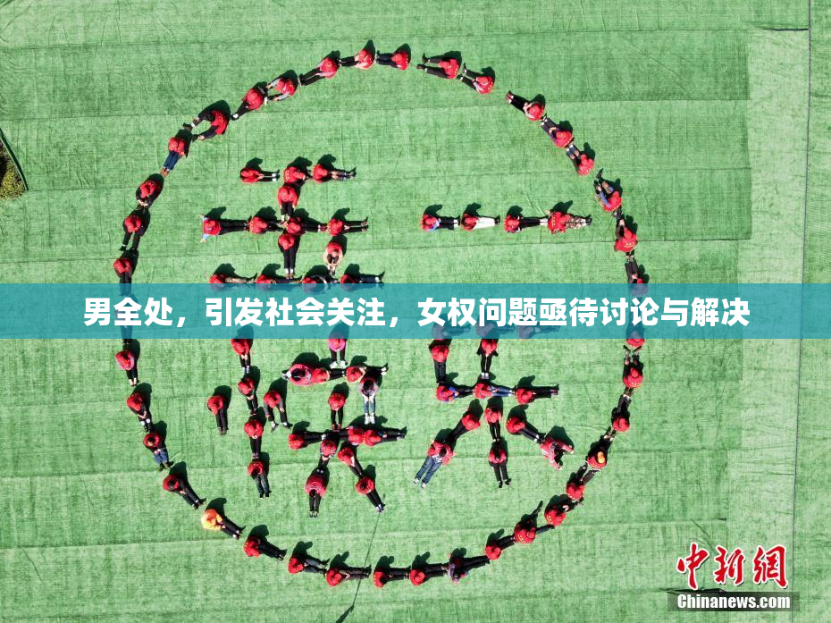男全处，引发社会关注，女权问题亟待讨论与解决