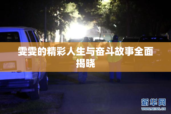 雯雯的精彩人生与奋斗故事全面揭晓