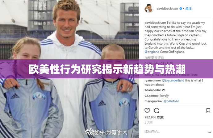 欧美性行为研究揭示新趋势与热潮