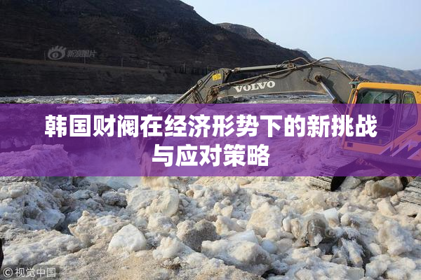 韩国财阀在经济形势下的新挑战与应对策略