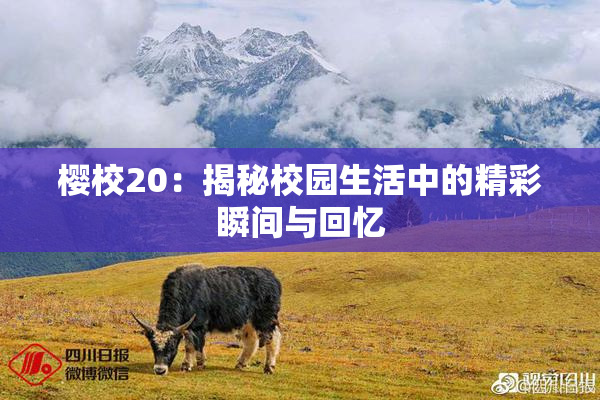樱校20：揭秘校园生活中的精彩瞬间与回忆