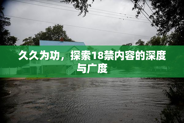 久久为功，探索18禁内容的深度与广度