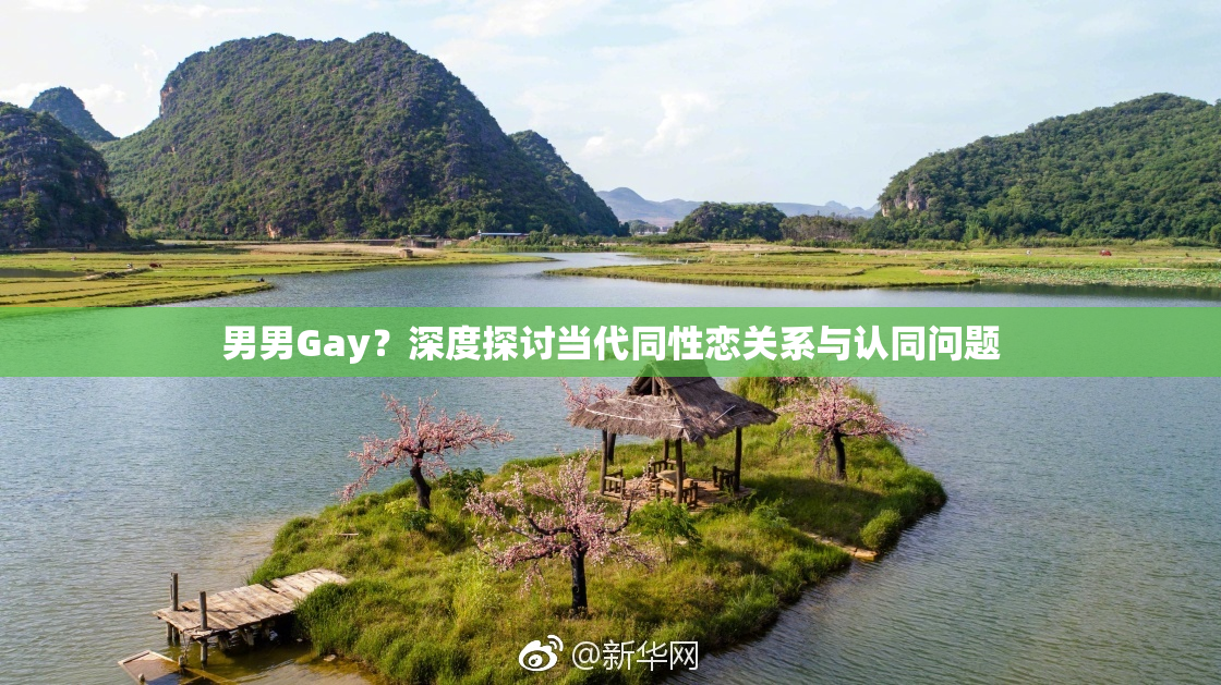 男男Gay？深度探讨当代同性恋关系与认同问题