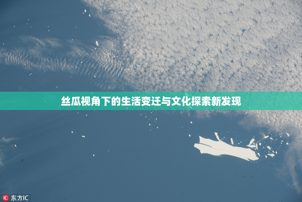 丝瓜视角下的生活变迁与文化探索新发现