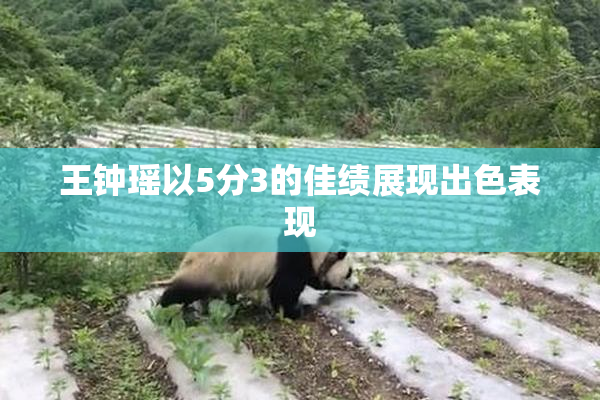 王钟瑶以5分3的佳绩展现出色表现