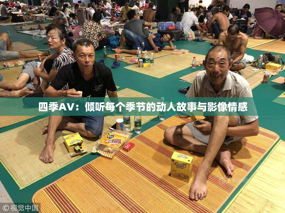 四季AV：倾听每个季节的动人故事与影像情感
