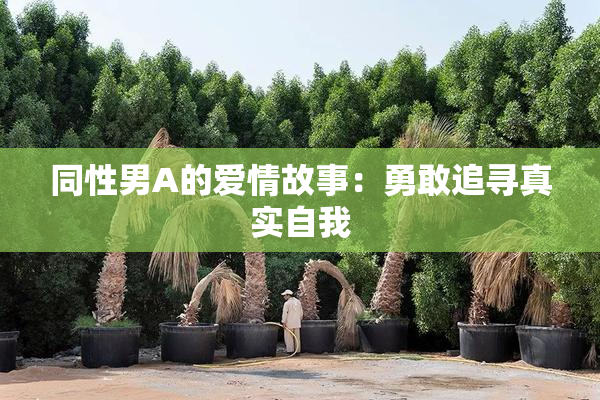 同性男A的爱情故事：勇敢追寻真实自我