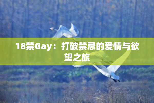 18禁Gay：打破禁忌的爱情与欲望之旅