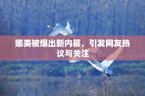 娜美被爆出新内幕，引发网友热议与关注