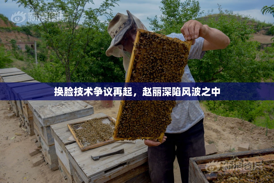 换脸技术争议再起，赵丽深陷风波之中
