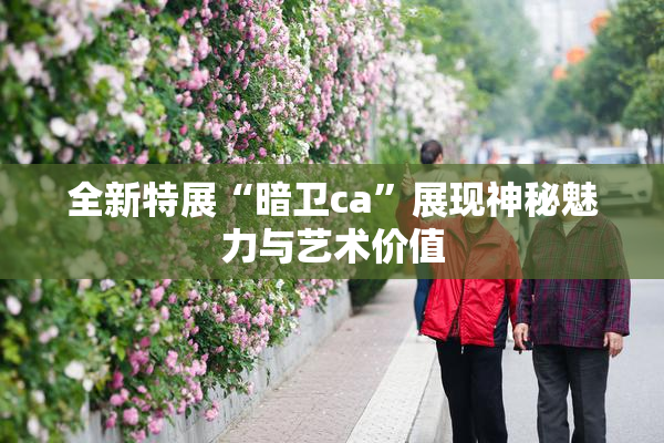 全新特展“暗卫ca”展现神秘魅力与艺术价值
