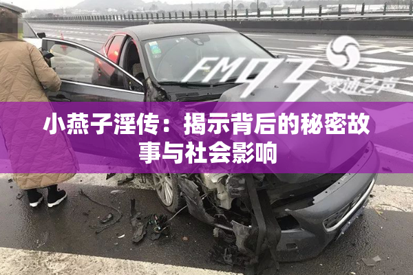 小燕子淫传：揭示背后的秘密故事与社会影响