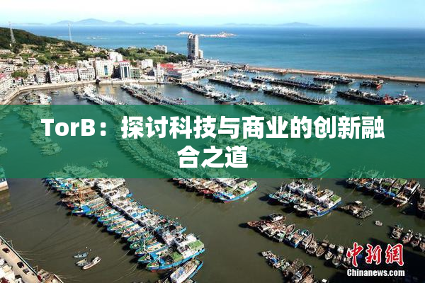 TorB：探讨科技与商业的创新融合之道