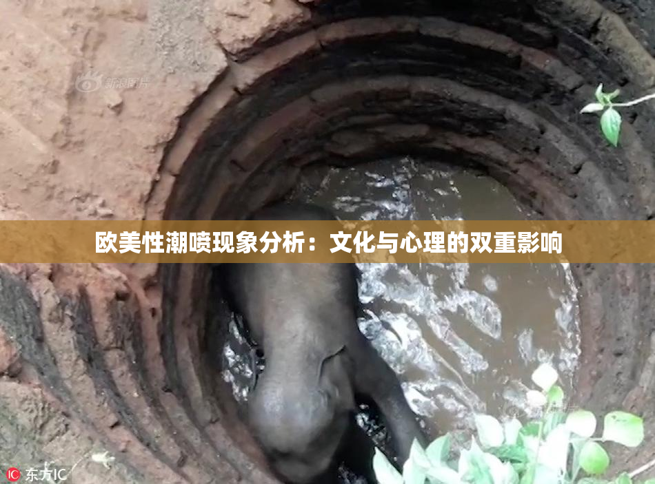 欧美性潮喷现象分析：文化与心理的双重影响