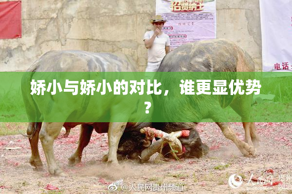 娇小与娇小的对比，谁更显优势？
