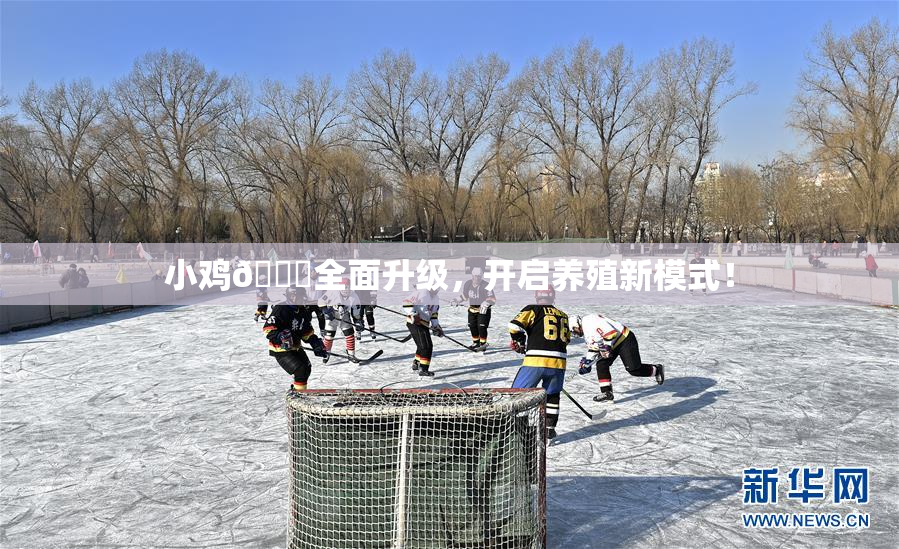 小鸡🐔全面升级，开启养殖新模式！