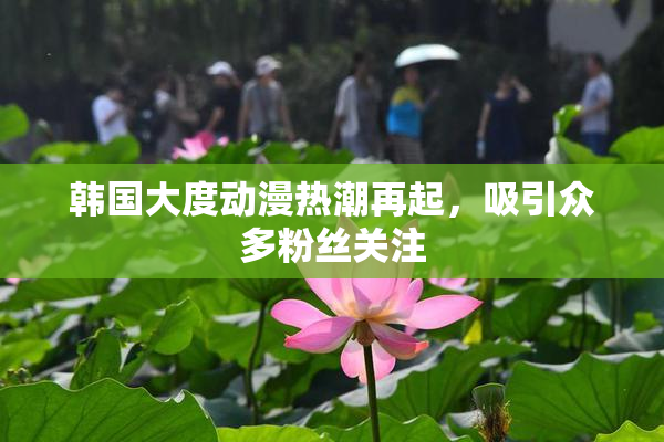 韩国大度动漫热潮再起，吸引众多粉丝关注