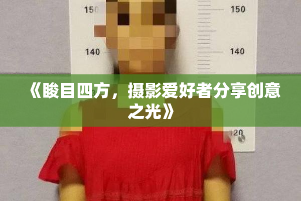 《睃目四方，摄影爱好者分享创意之光》