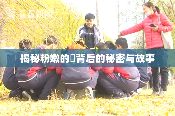 揭秘粉嫩的泬背后的秘密与故事
