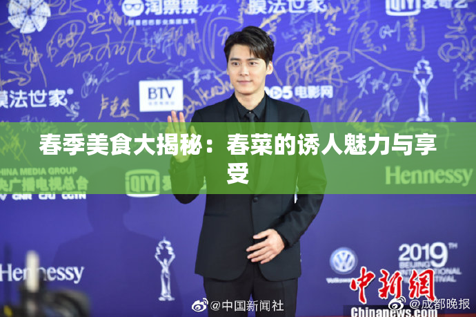 春季美食大揭秘：春菜的诱人魅力与享受
