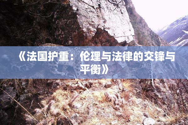 《法国护重：伦理与法律的交锋与平衡》