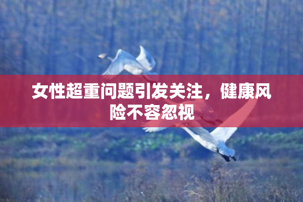女性超重问题引发关注，健康风险不容忽视