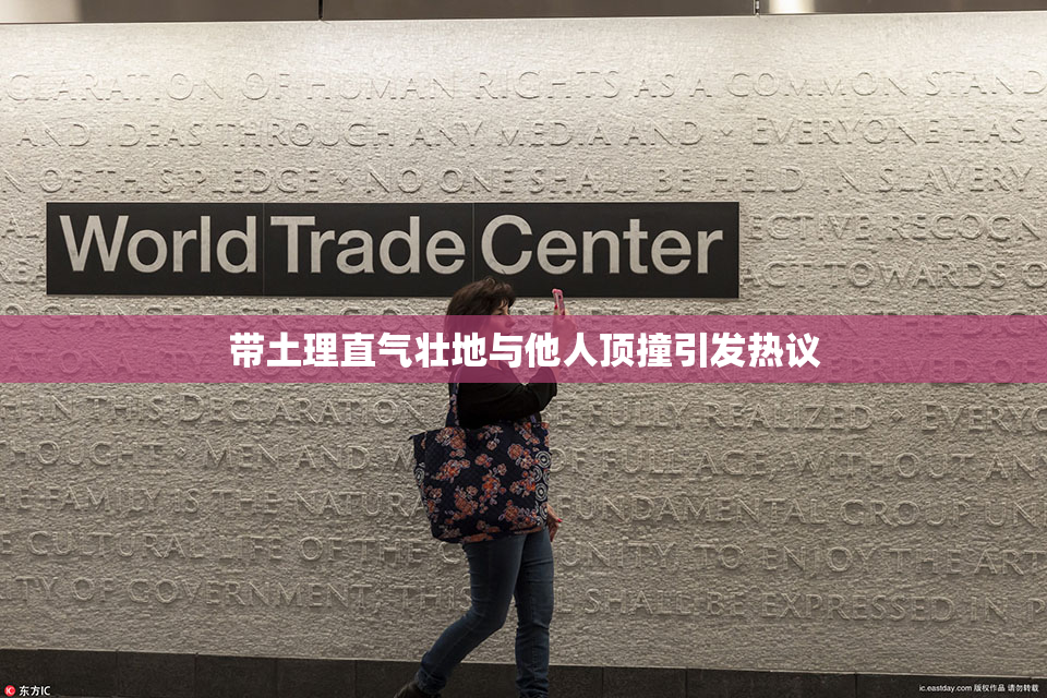 带土理直气壮地与他人顶撞引发热议