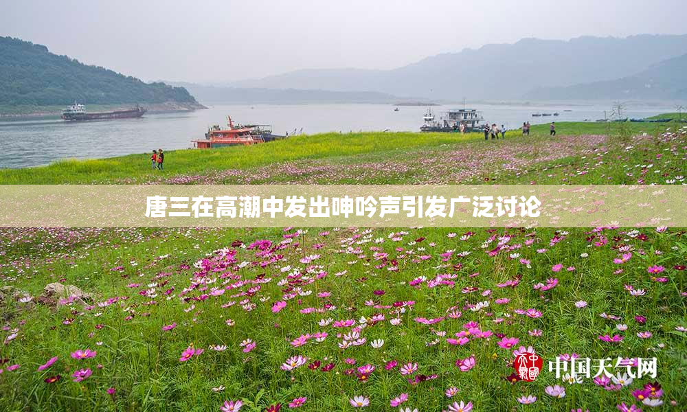 唐三在高潮中发出呻吟声引发广泛讨论