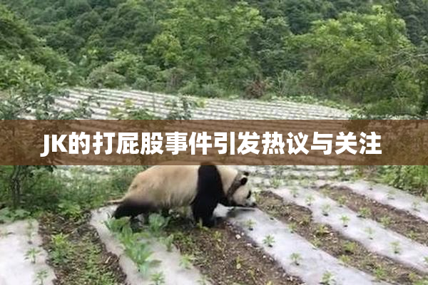 JK的打屁股事件引发热议与关注