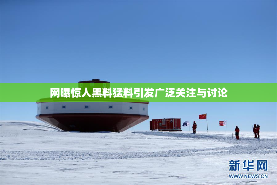 网曝惊人黑料猛料引发广泛关注与讨论