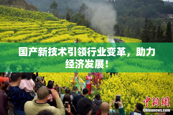国产新技术引领行业变革，助力经济发展！