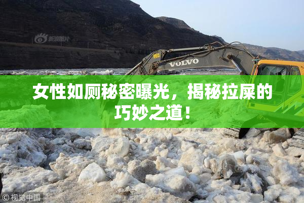 女性如厕秘密曝光，揭秘拉屎的巧妙之道！