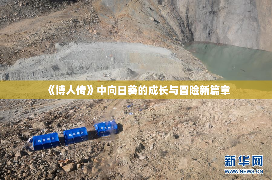 《博人传》中向日葵的成长与冒险新篇章