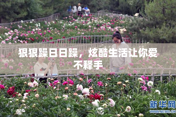 狠狠躁日日躁，炫酷生活让你爱不释手