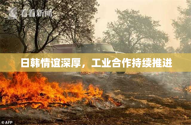 日韩情谊深厚，工业合作持续推进