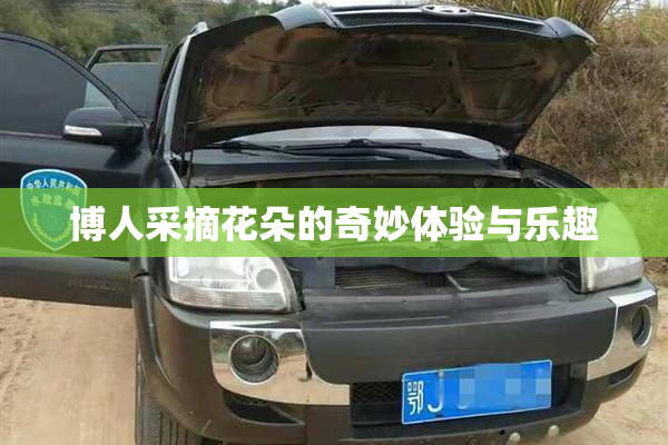 博人采摘花朵的奇妙体验与乐趣