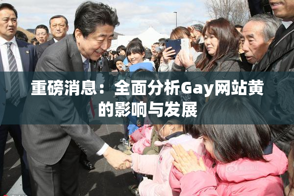 重磅消息：全面分析Gay网站黄的影响与发展