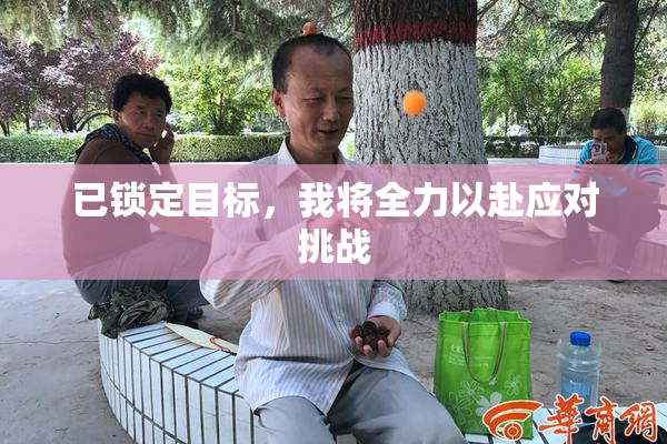 已锁定目标，我将全力以赴应对挑战