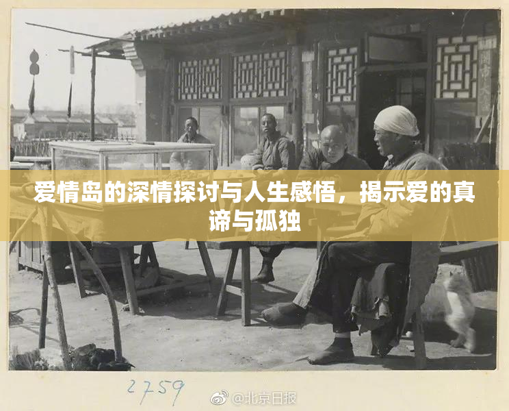 爱情岛的深情探讨与人生感悟，揭示爱的真谛与孤独