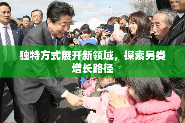 独特方式展开新领域，探索另类增长路径