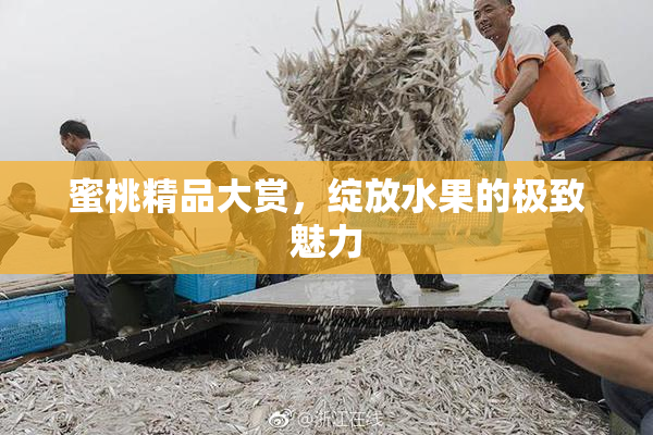 蜜桃精品大赏，绽放水果的极致魅力
