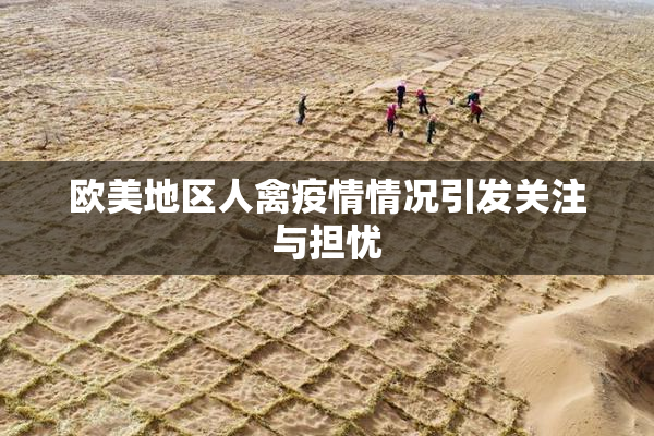 欧美地区人禽疫情情况引发关注与担忧