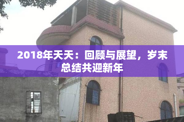 2018年天天：回顾与展望，岁末总结共迎新年
