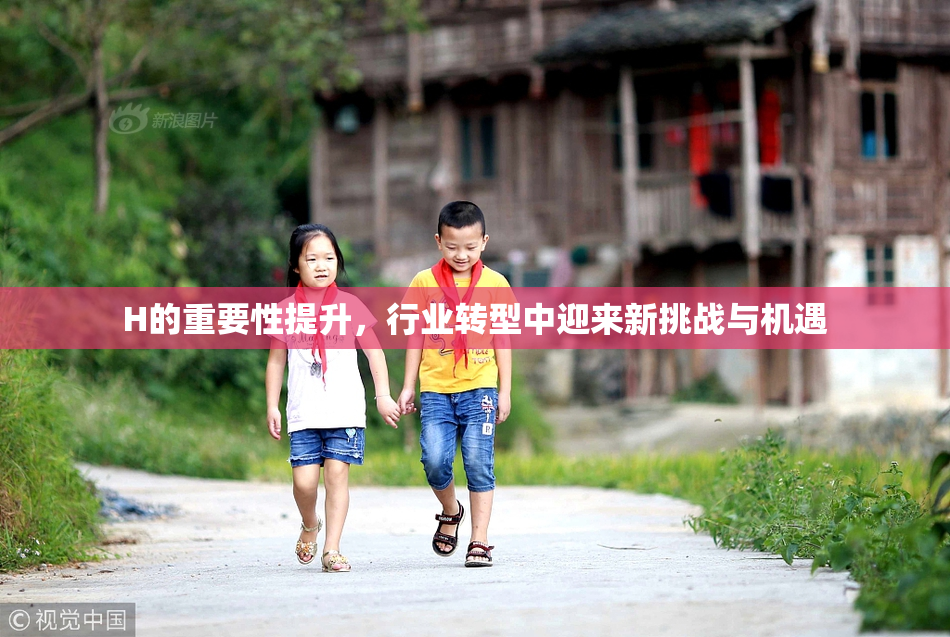 H的重要性提升，行业转型中迎来新挑战与机遇
