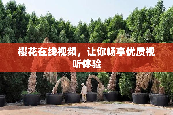 樱花在线视频，让你畅享优质视听体验