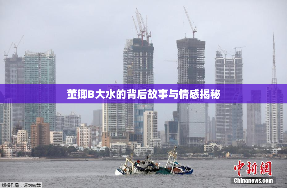 董卿B大水的背后故事与情感揭秘