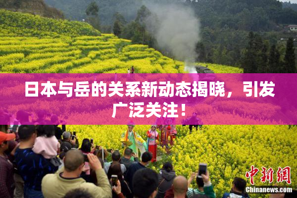 日本与岳的关系新动态揭晓，引发广泛关注！