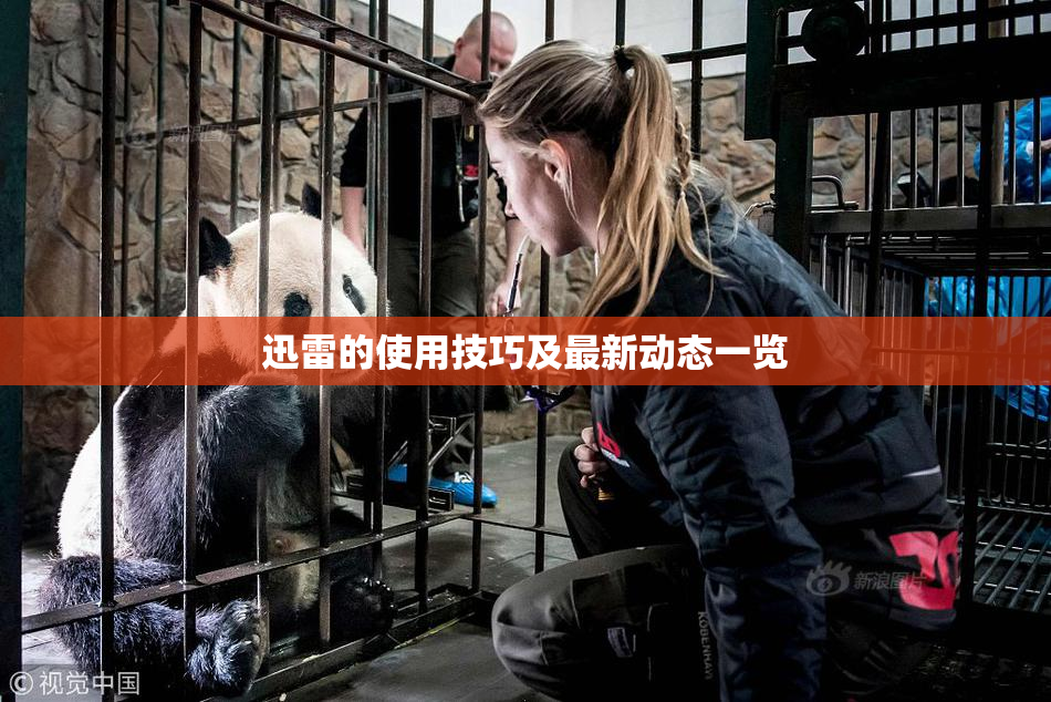 迅雷的使用技巧及最新动态一览